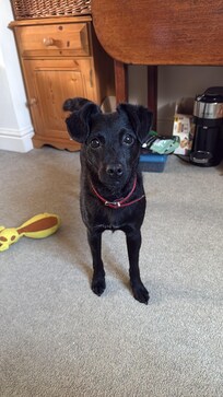 Thank you for my breakfast love isla