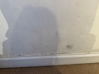 Scuffs on the wall and dirty carpet edges.