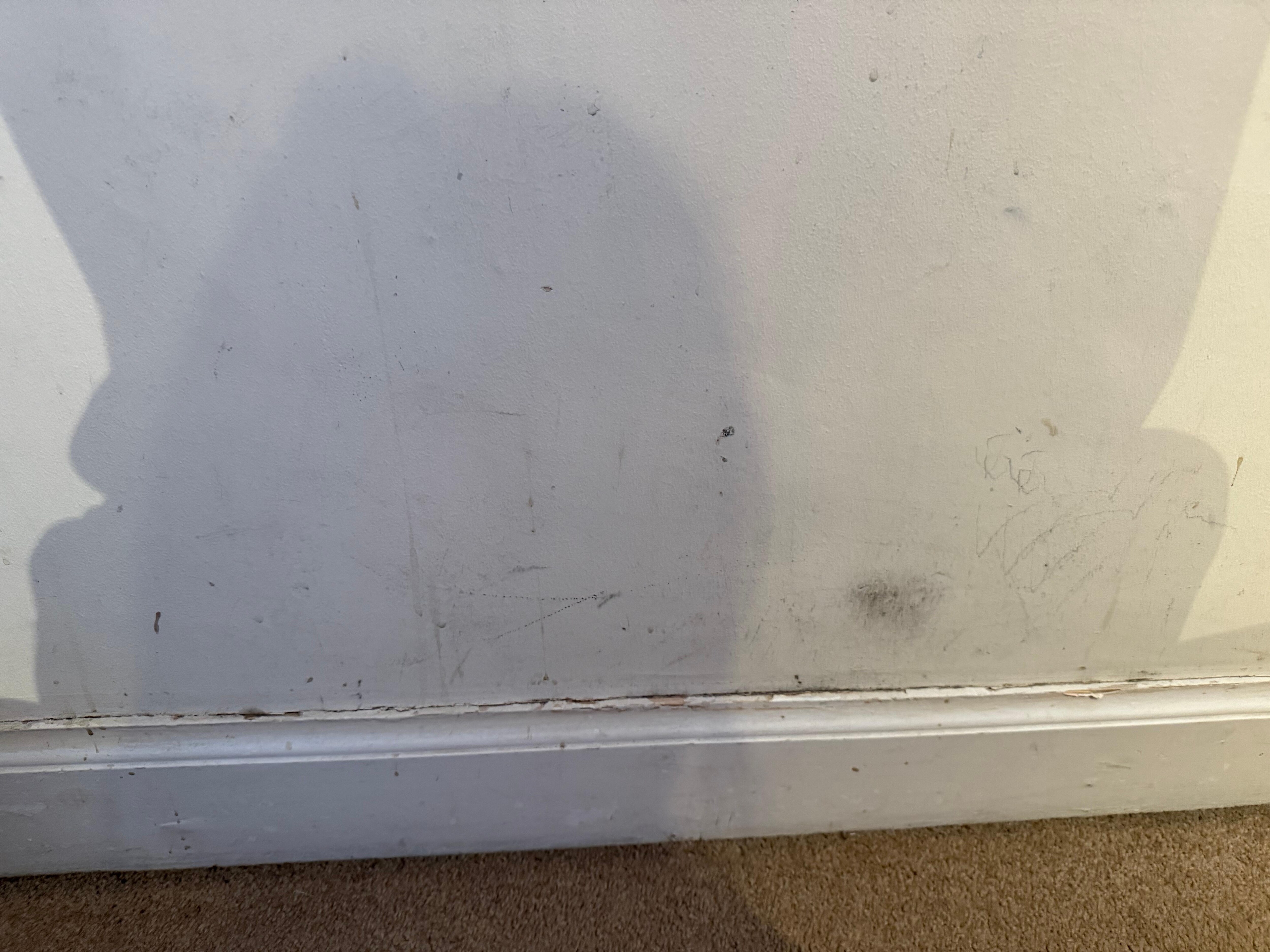 Scuffs on the wall and dirty carpet edges.