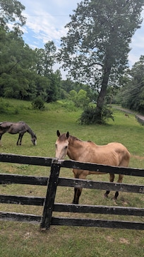 Sooo bucolic!