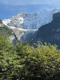 Another "backyard" view