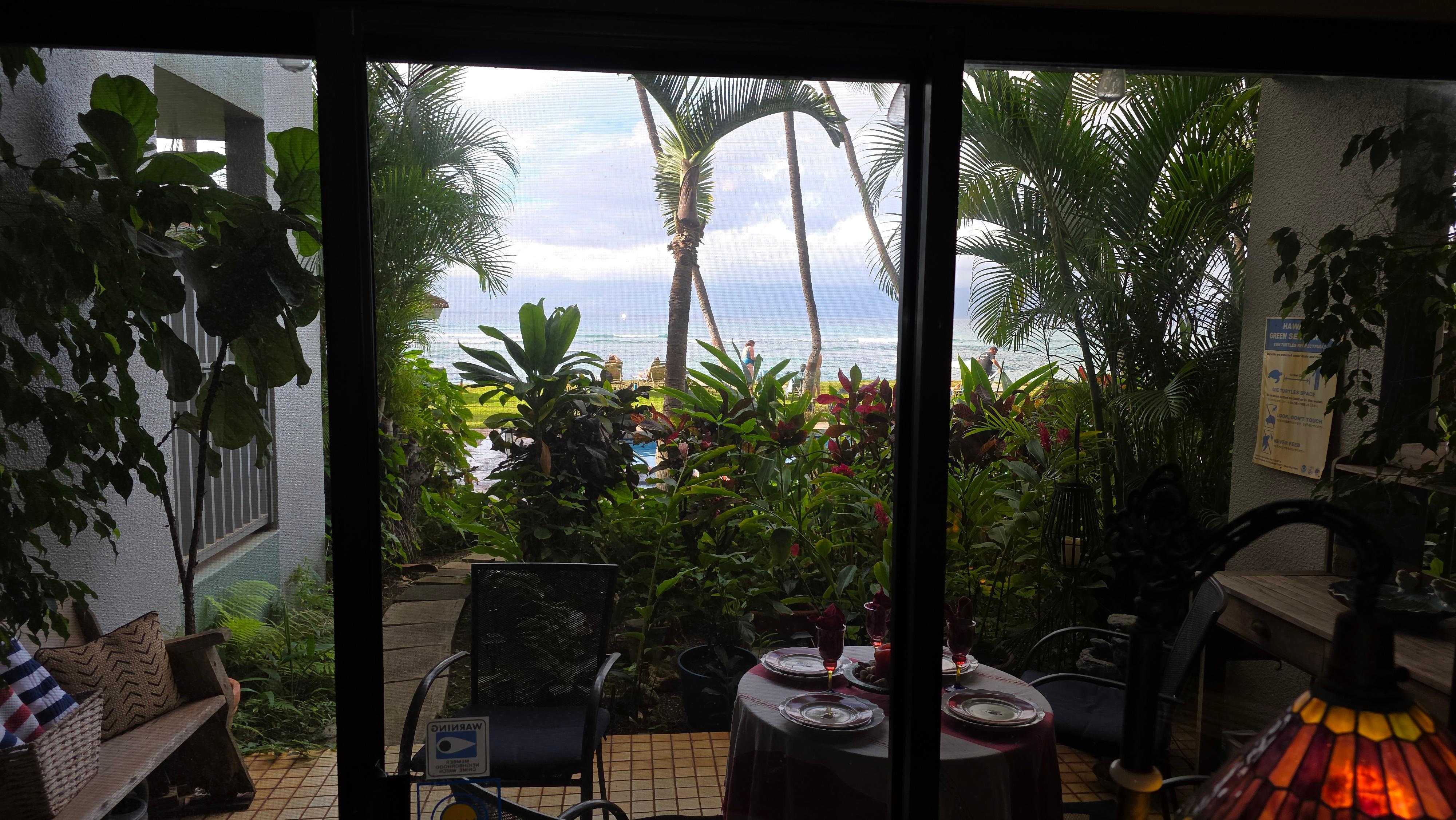 Look out from liv rm