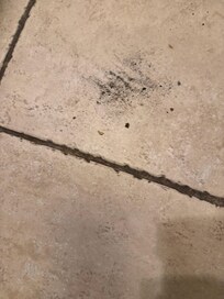 The sand in kitchen and the black dirty grout.