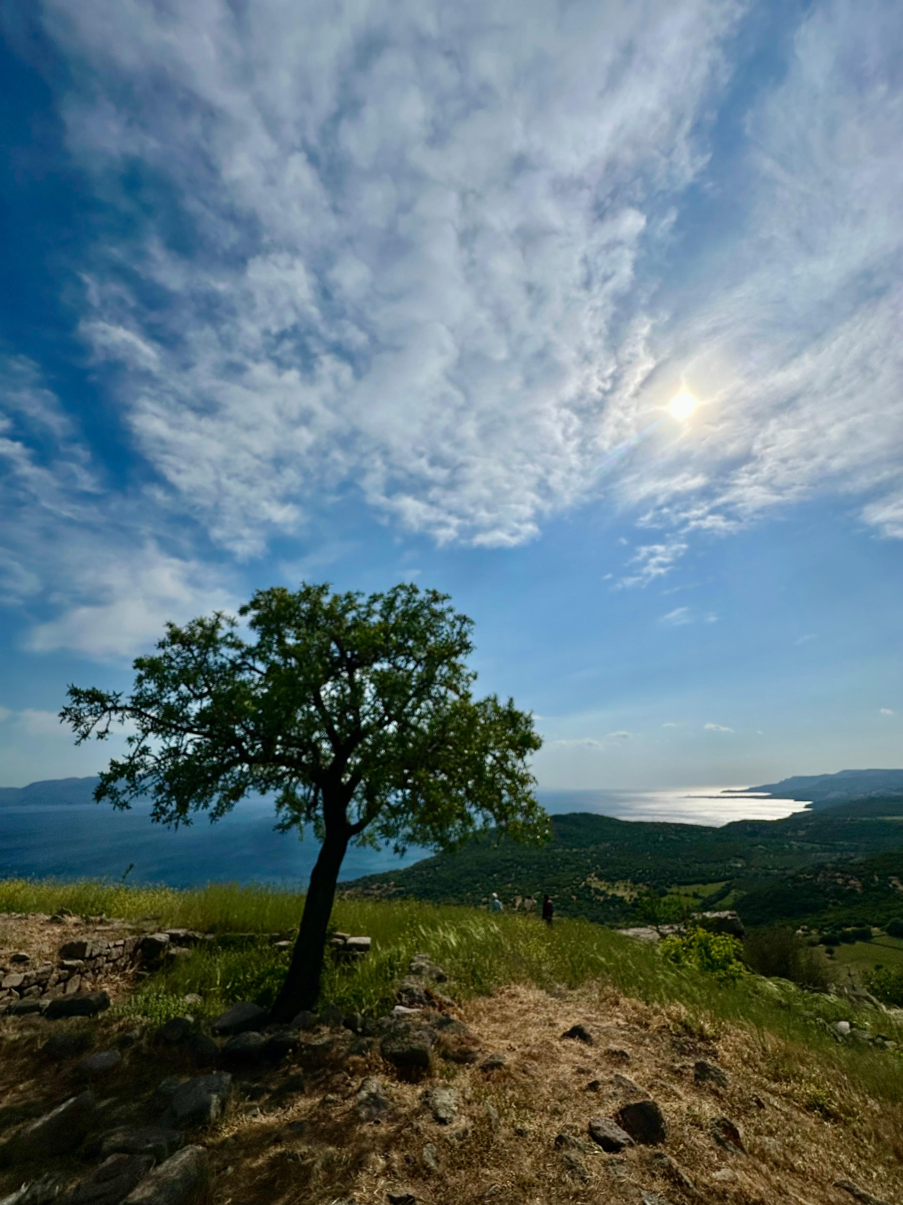 View from Temple of Athena 
