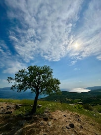 View from Temple of Athena