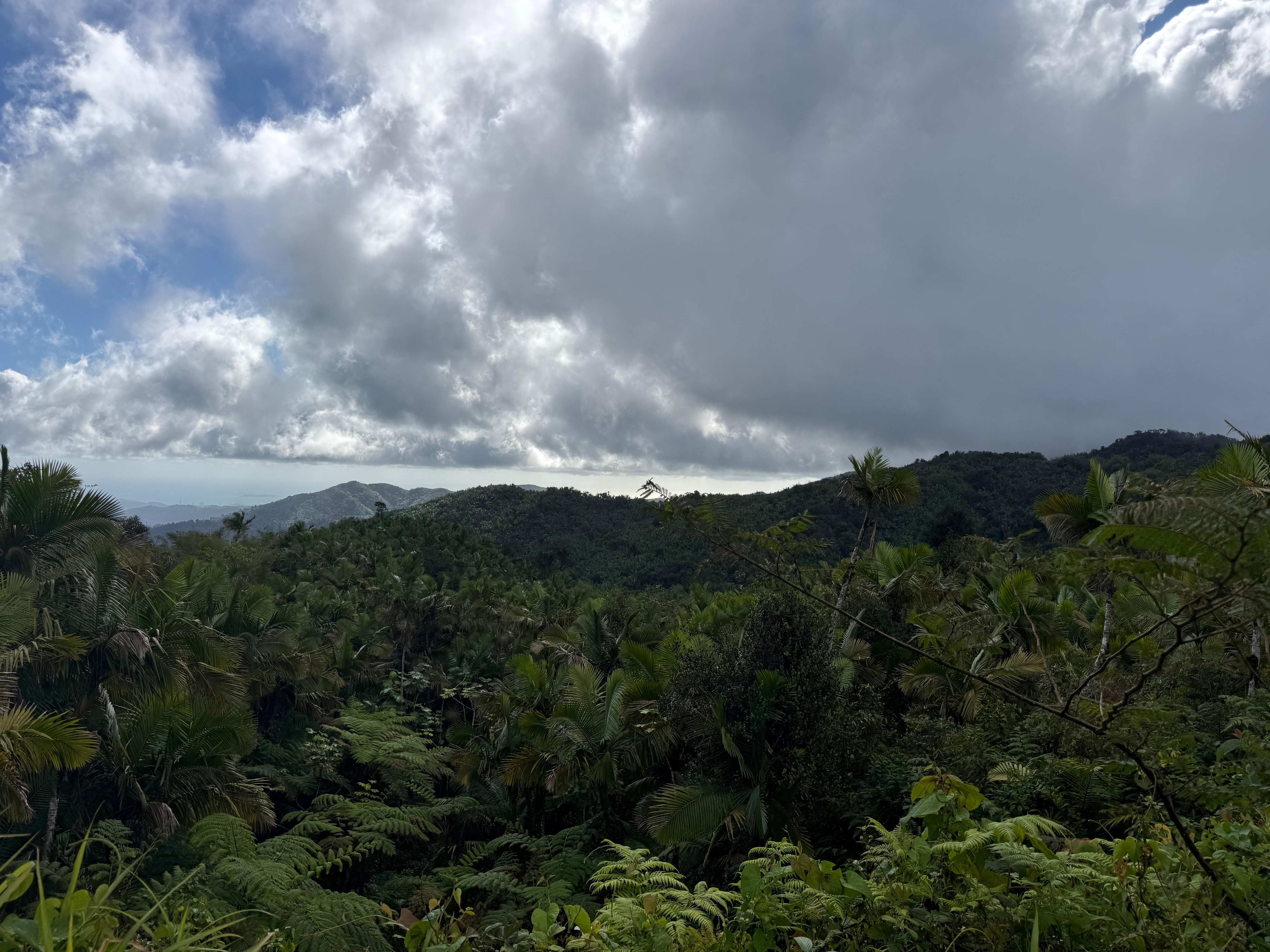 El Yunque 