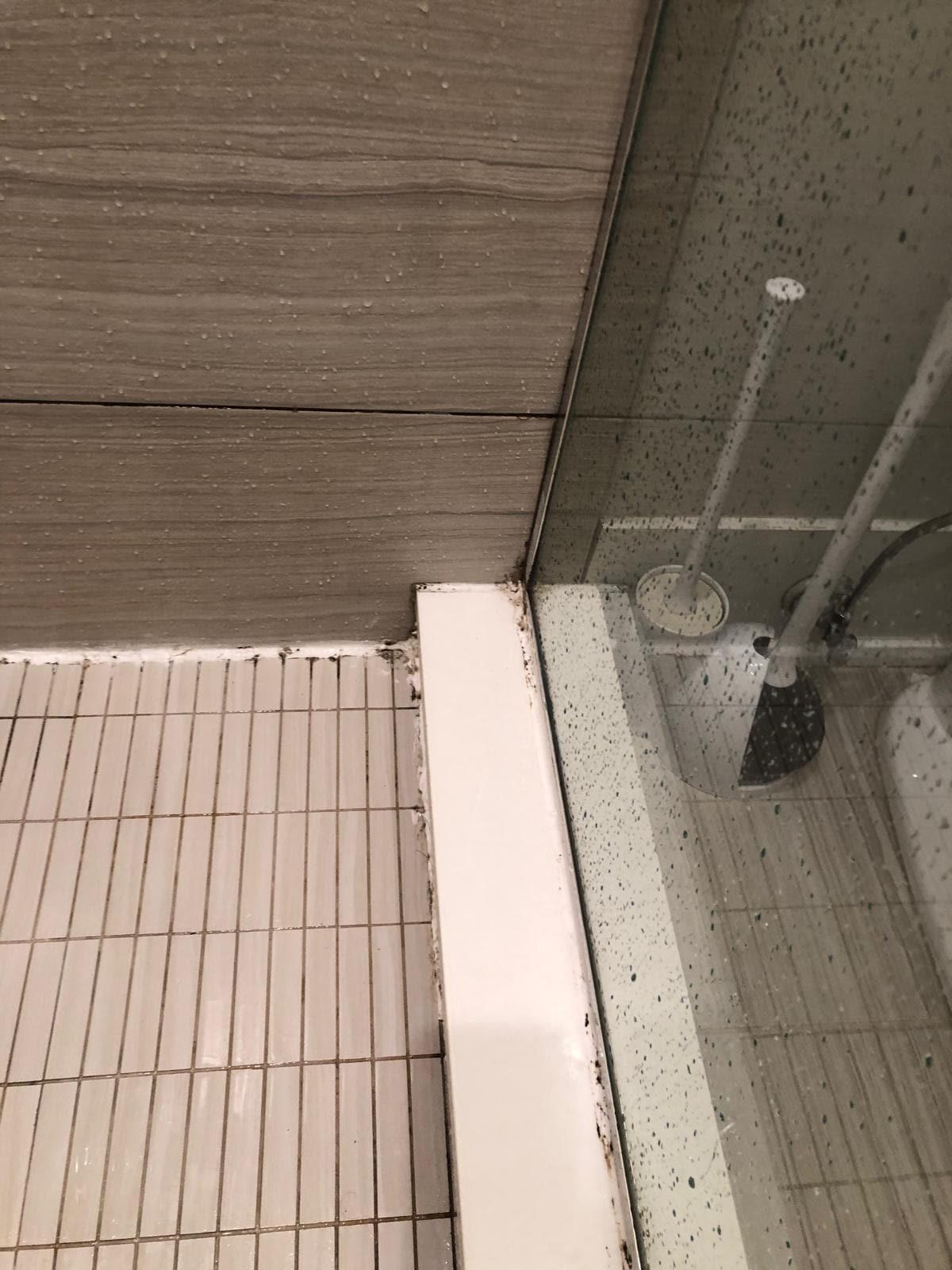 Mould