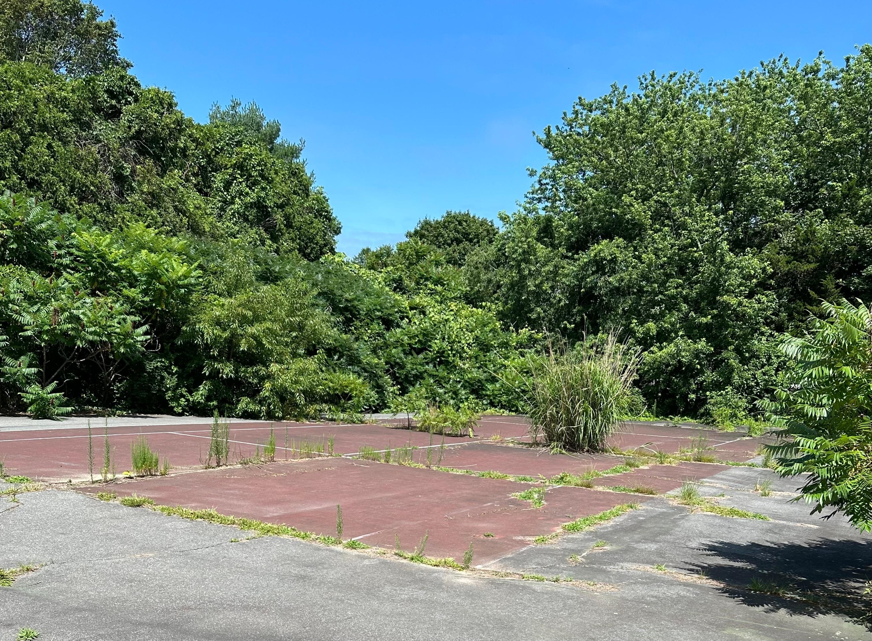 We were told that the tennis court had some cracks in the surface and we could use it at our own risk. There were bushes growing on it.