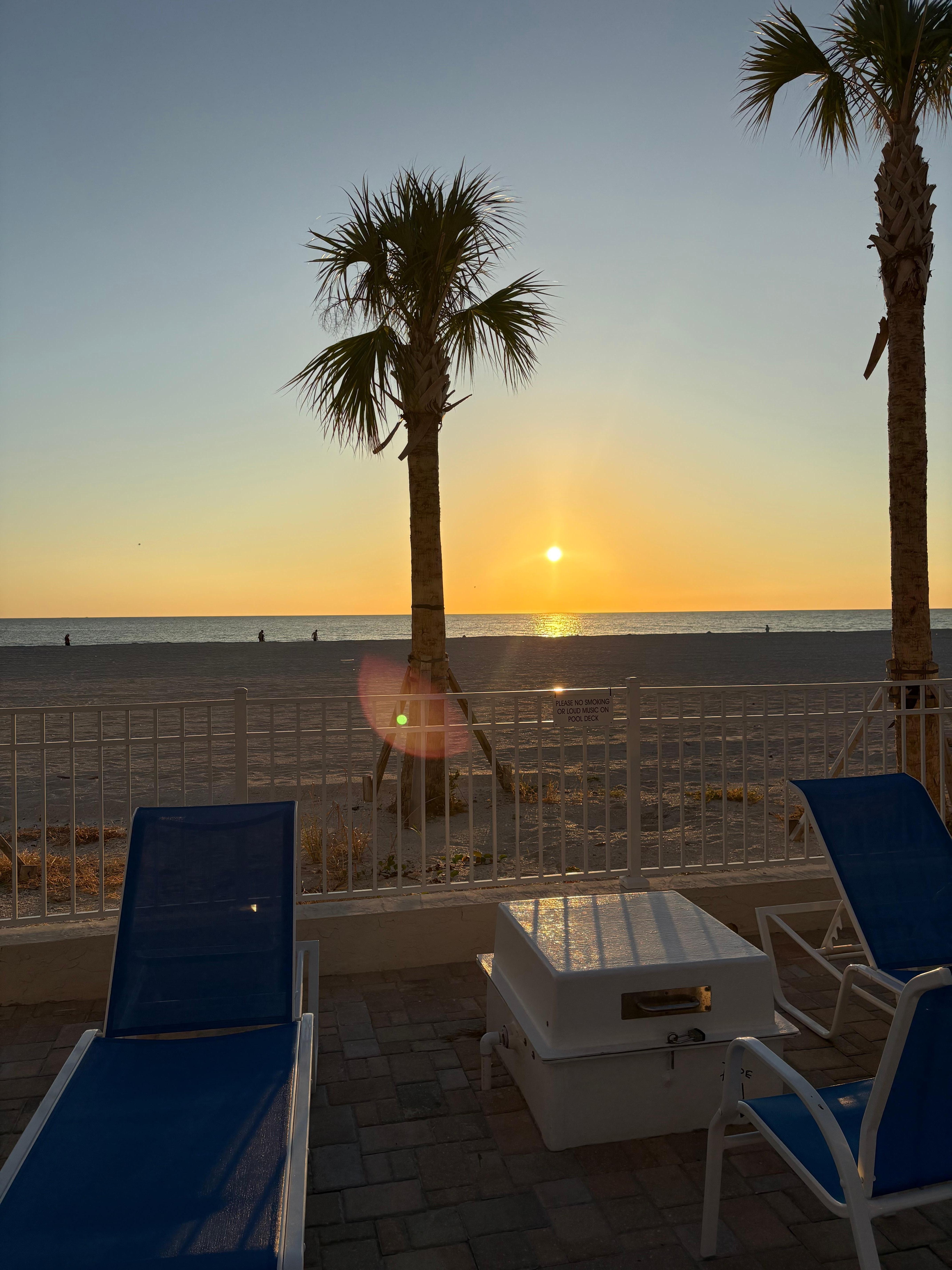 The view from the pool 