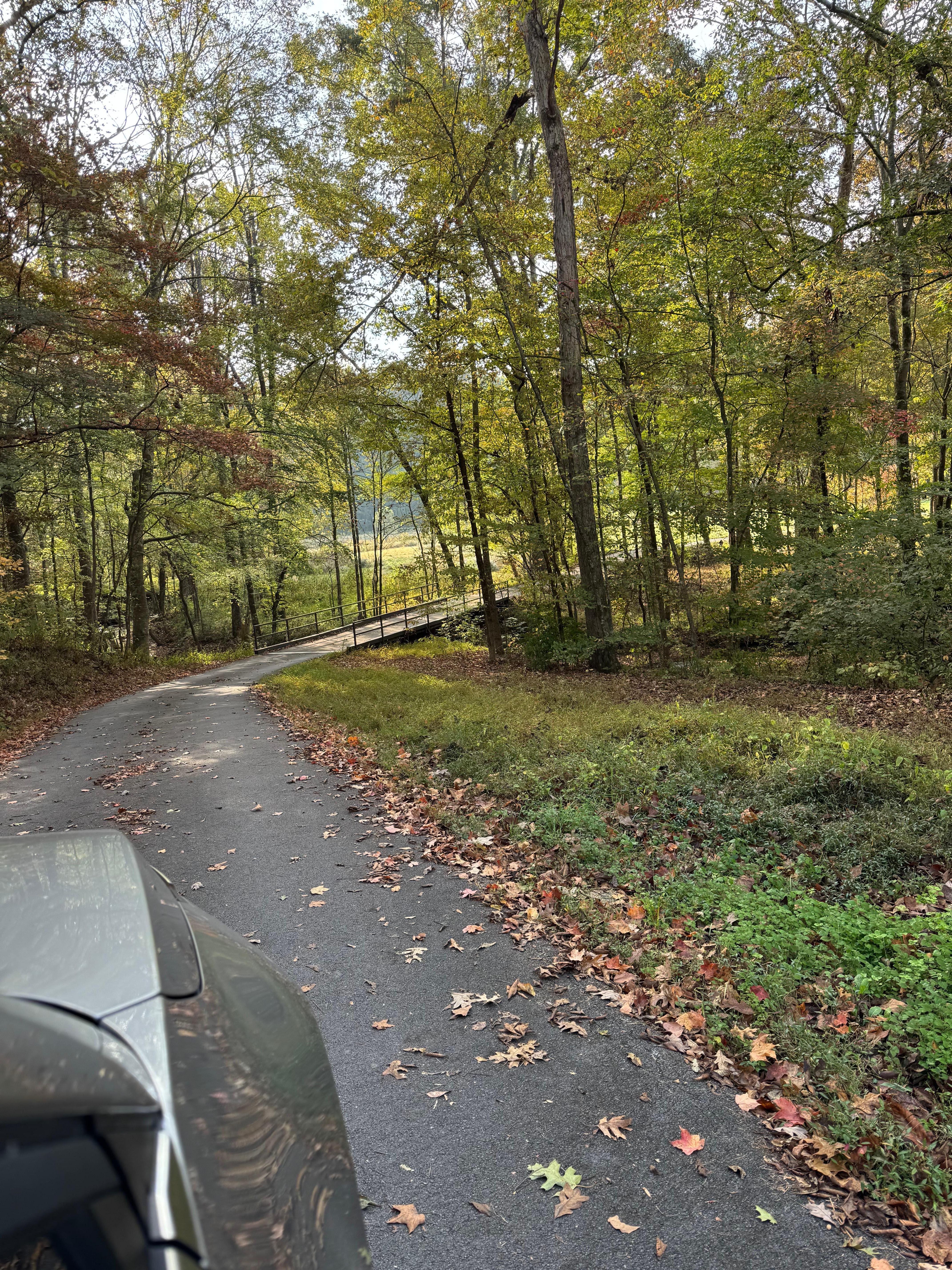 The bridge to serenity 