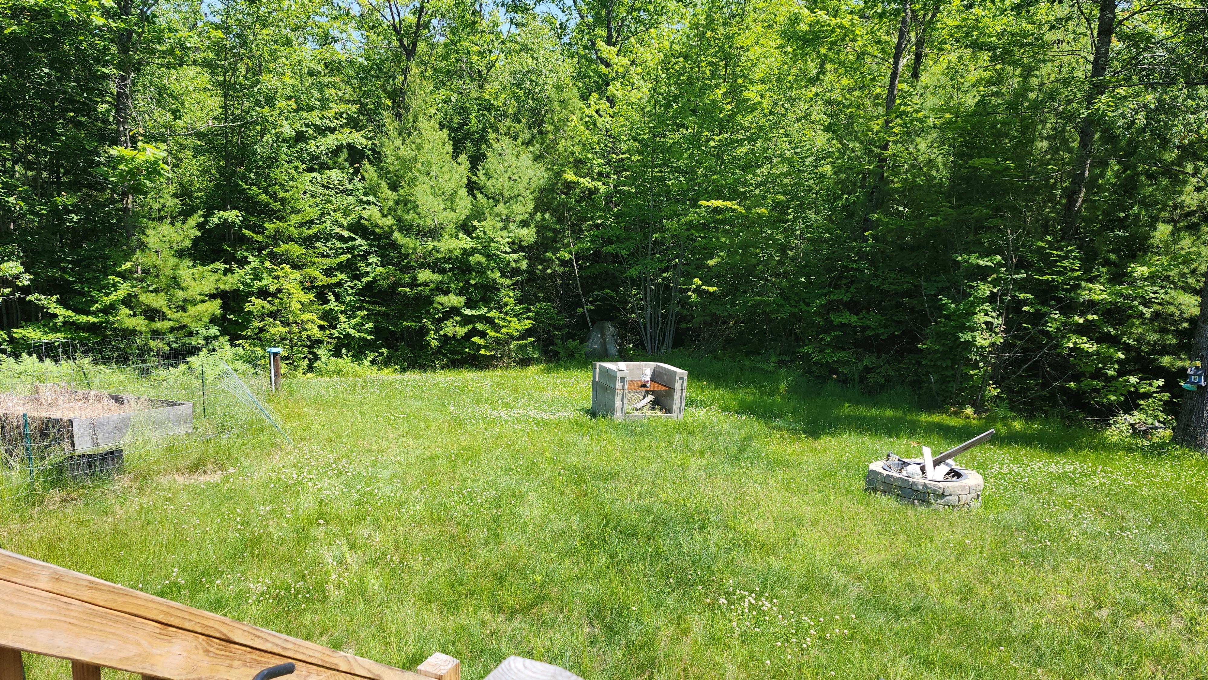 back yard before mowing