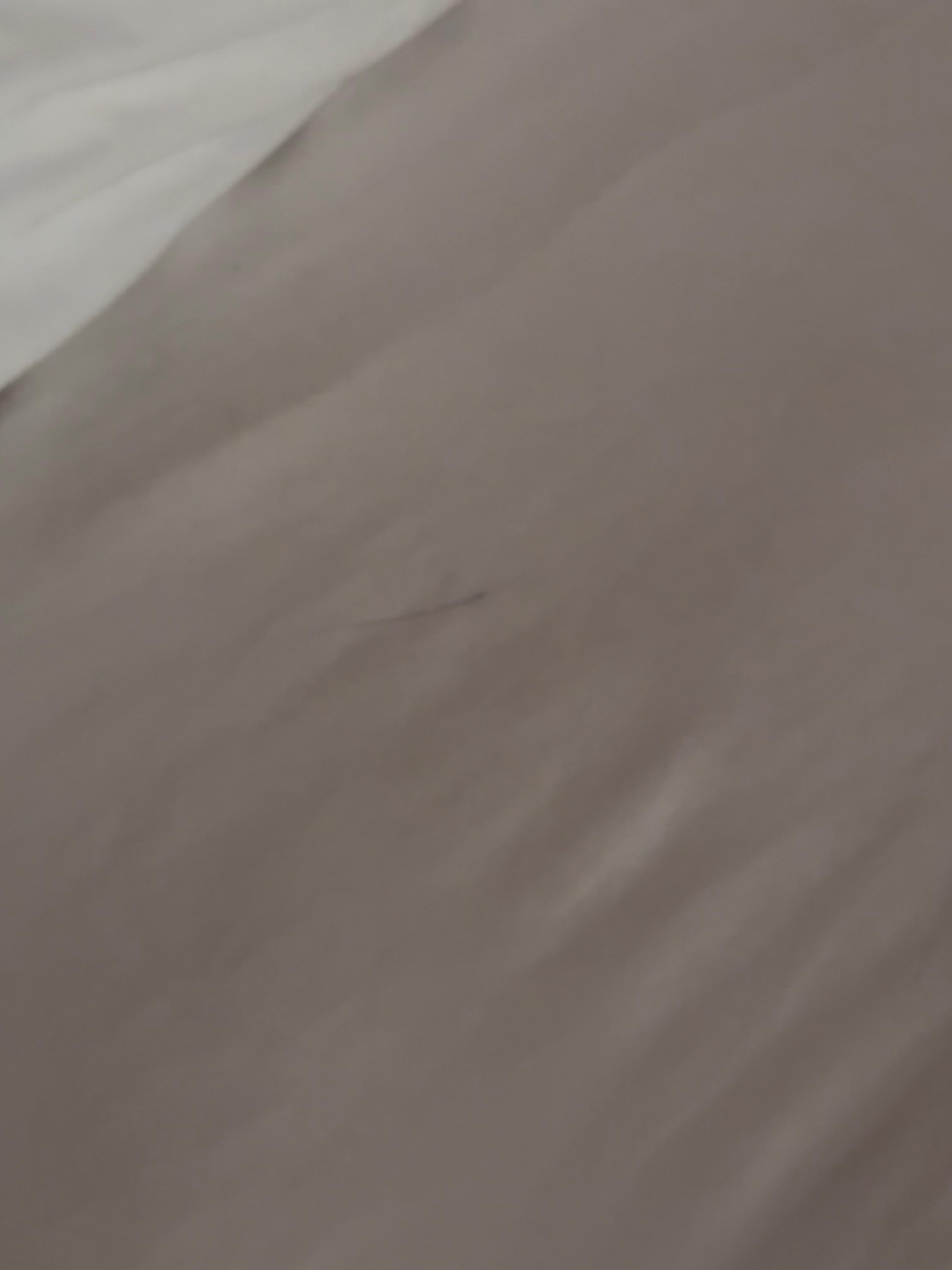 Asked to have sheets changed, left mark. Came back, mark was still there.