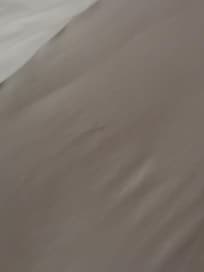 Asked to have sheets changed, left mark. Came back, mark was still there.