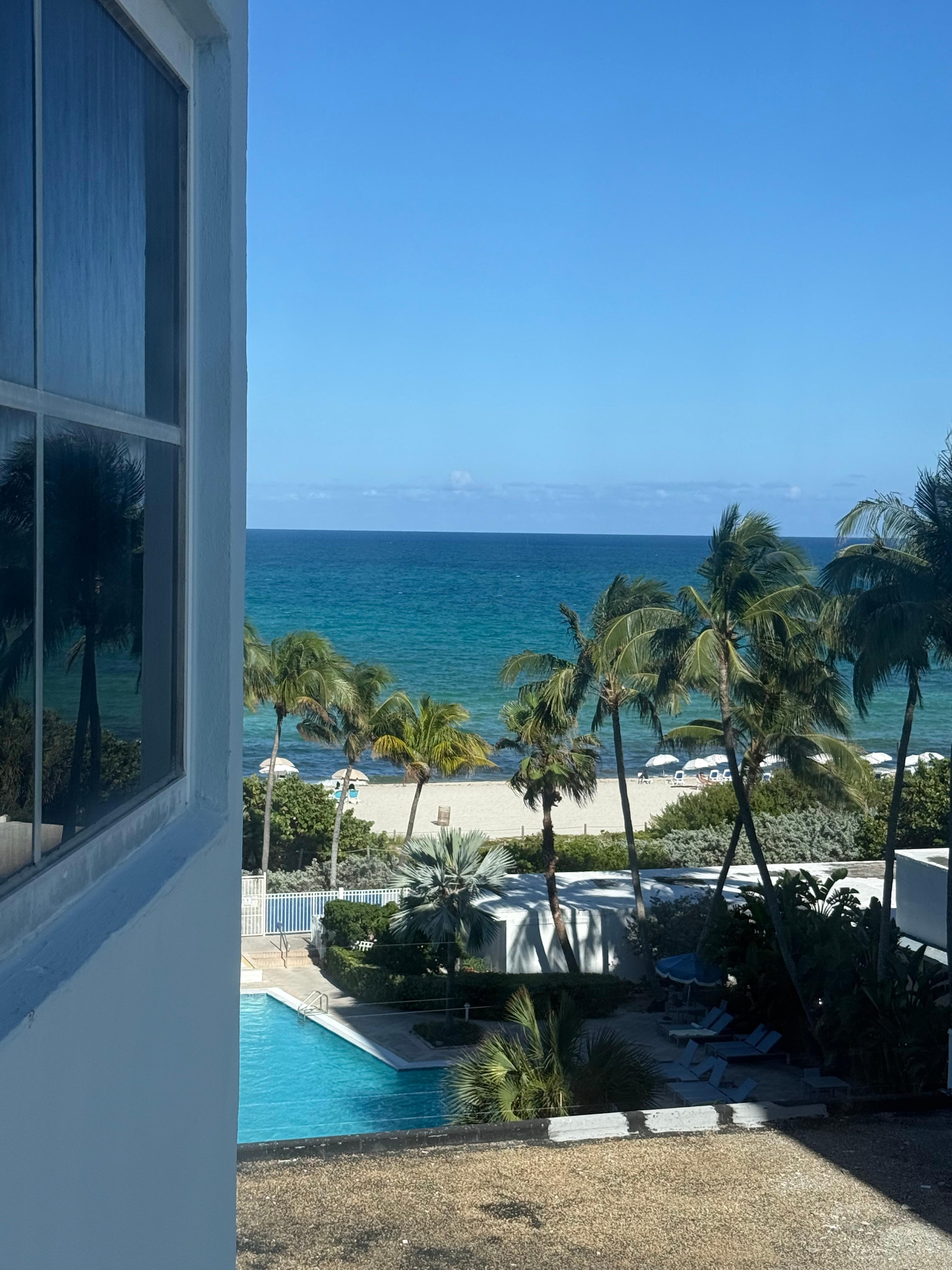 Window view