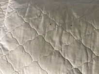 Filthy mattress protector