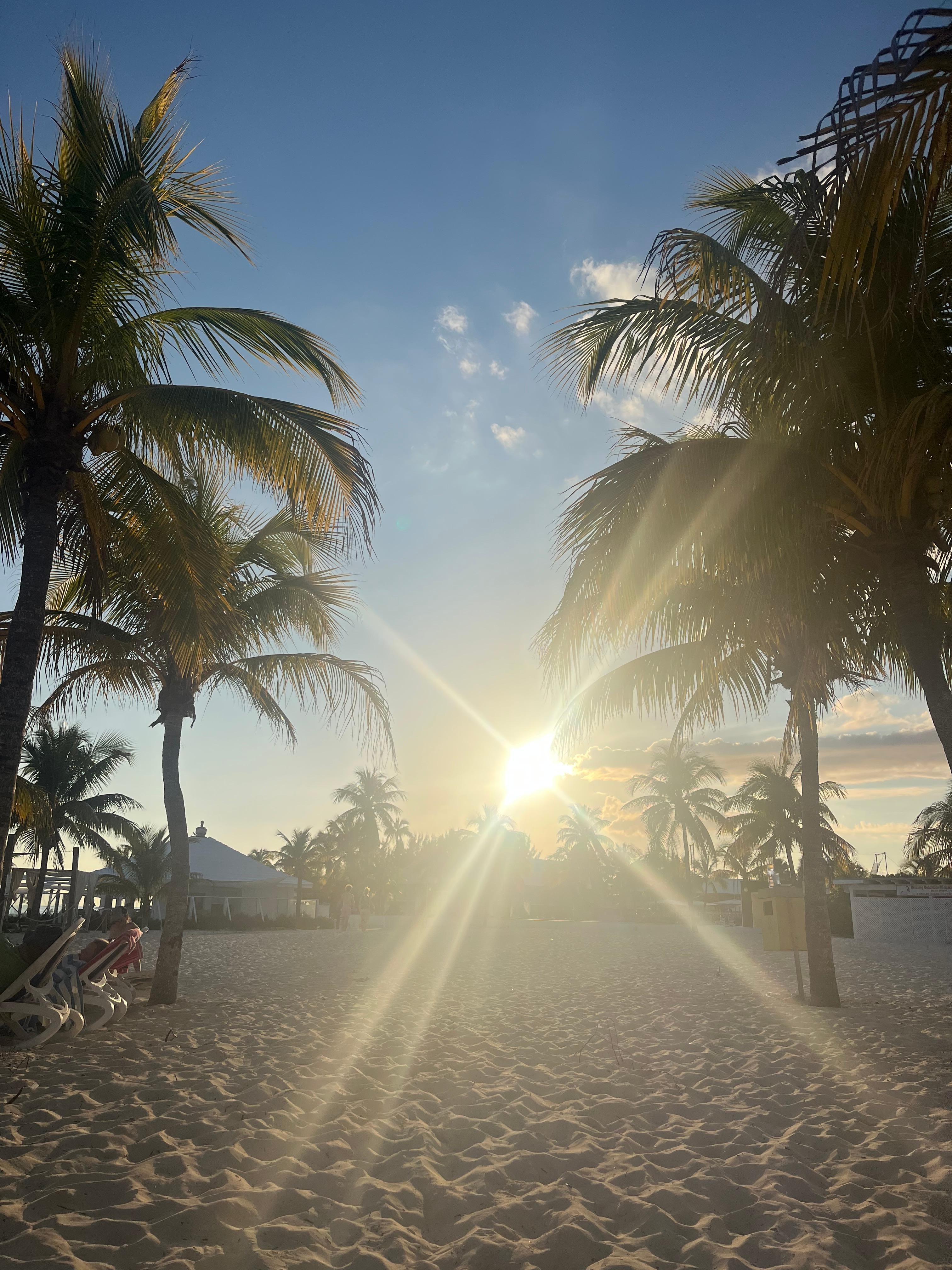 5oclock Somewhere 😎🤟🌴💦