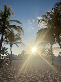 5oclock Somewhere 😎🤟🌴💦