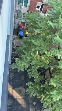 Blick aus dem Zimmer