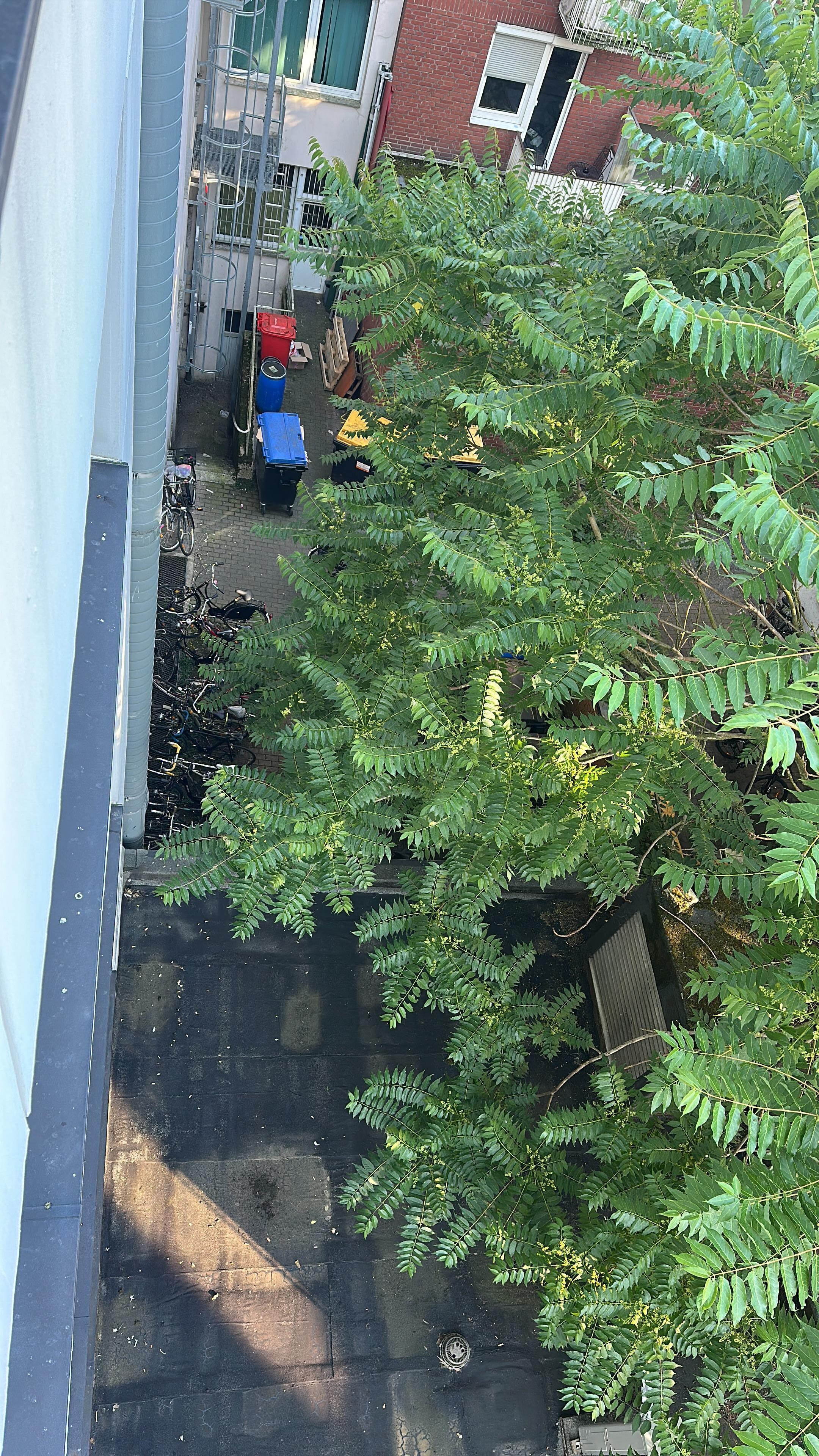 Blick aus dem Zimmer