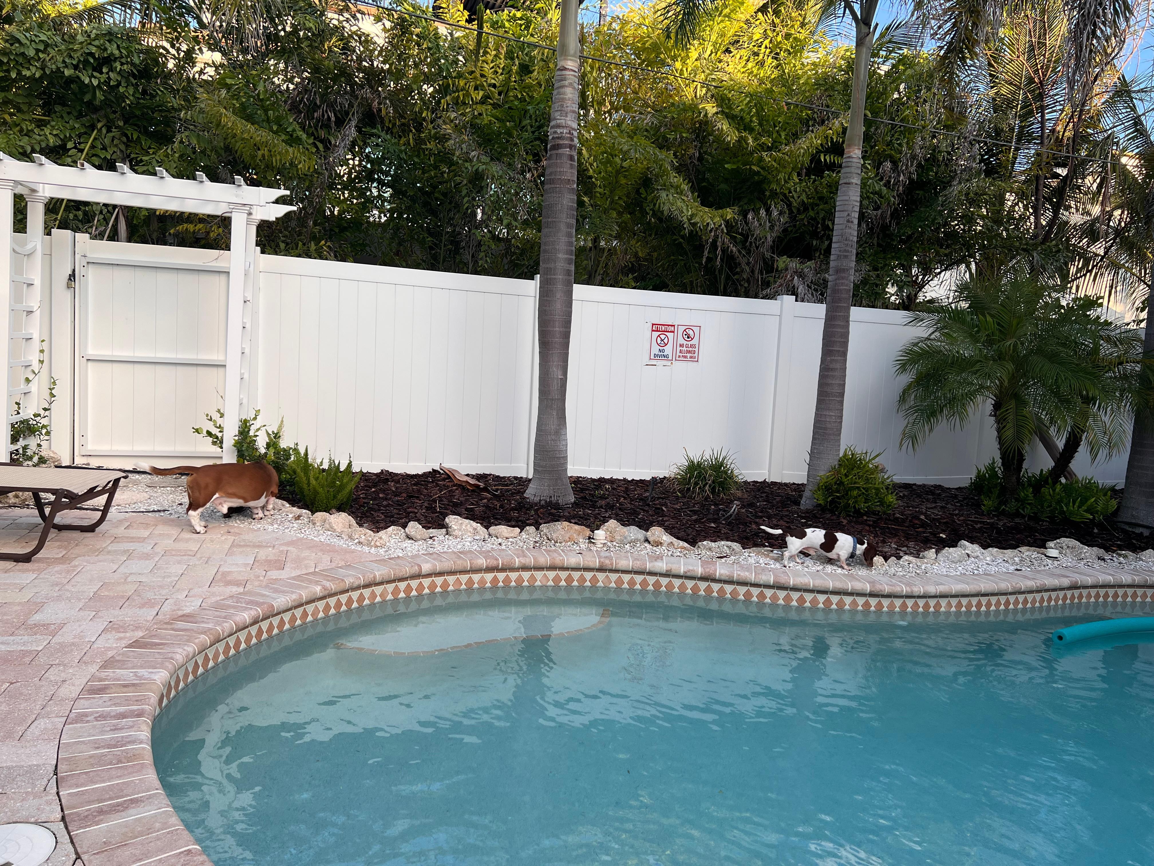 Beautiful clean pool 