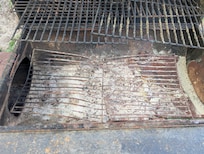 Moldy, deformed BBQ