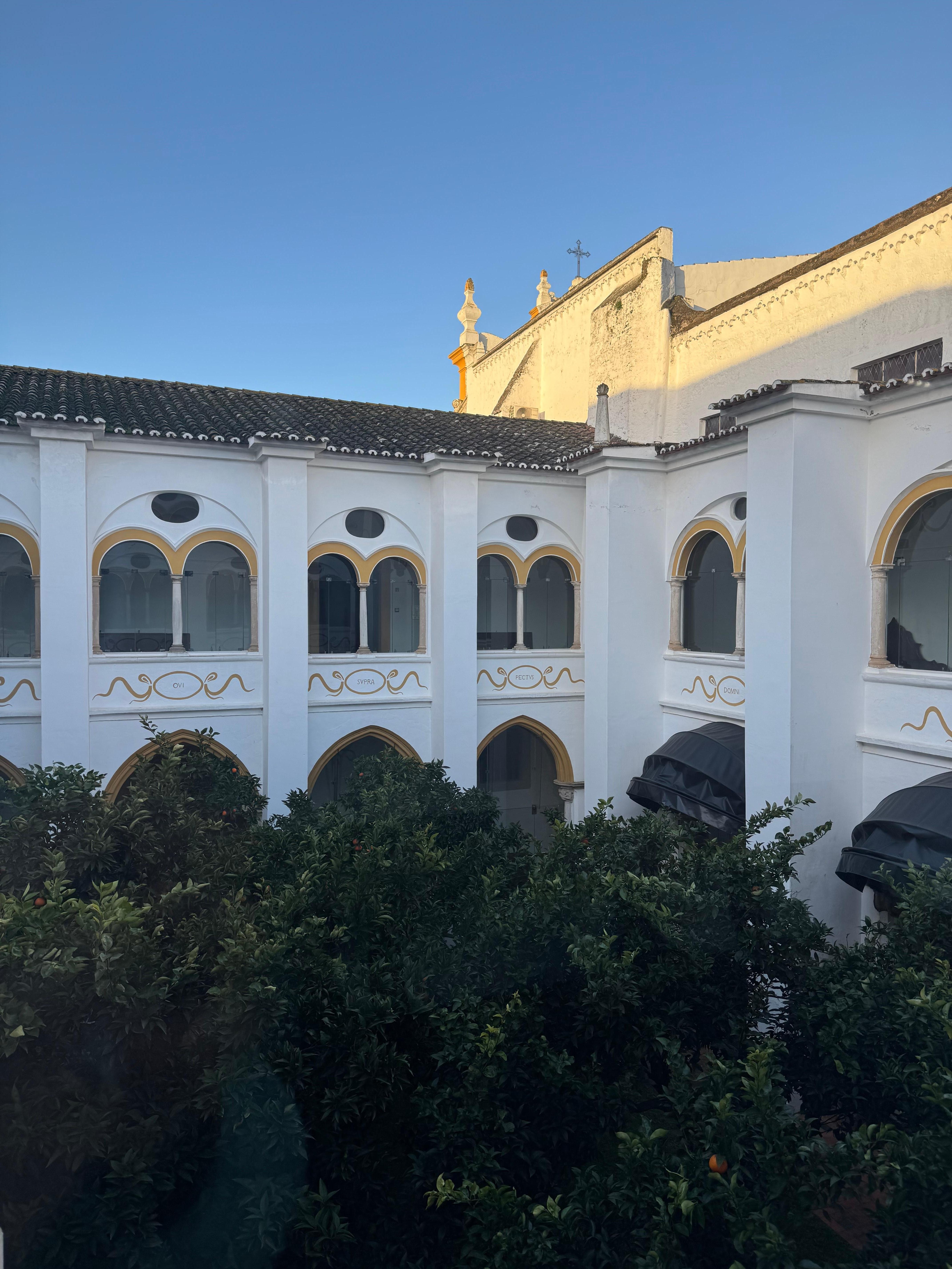 Orange trees in middle of cloister