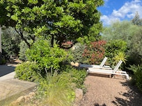 Photo de notre terrasse