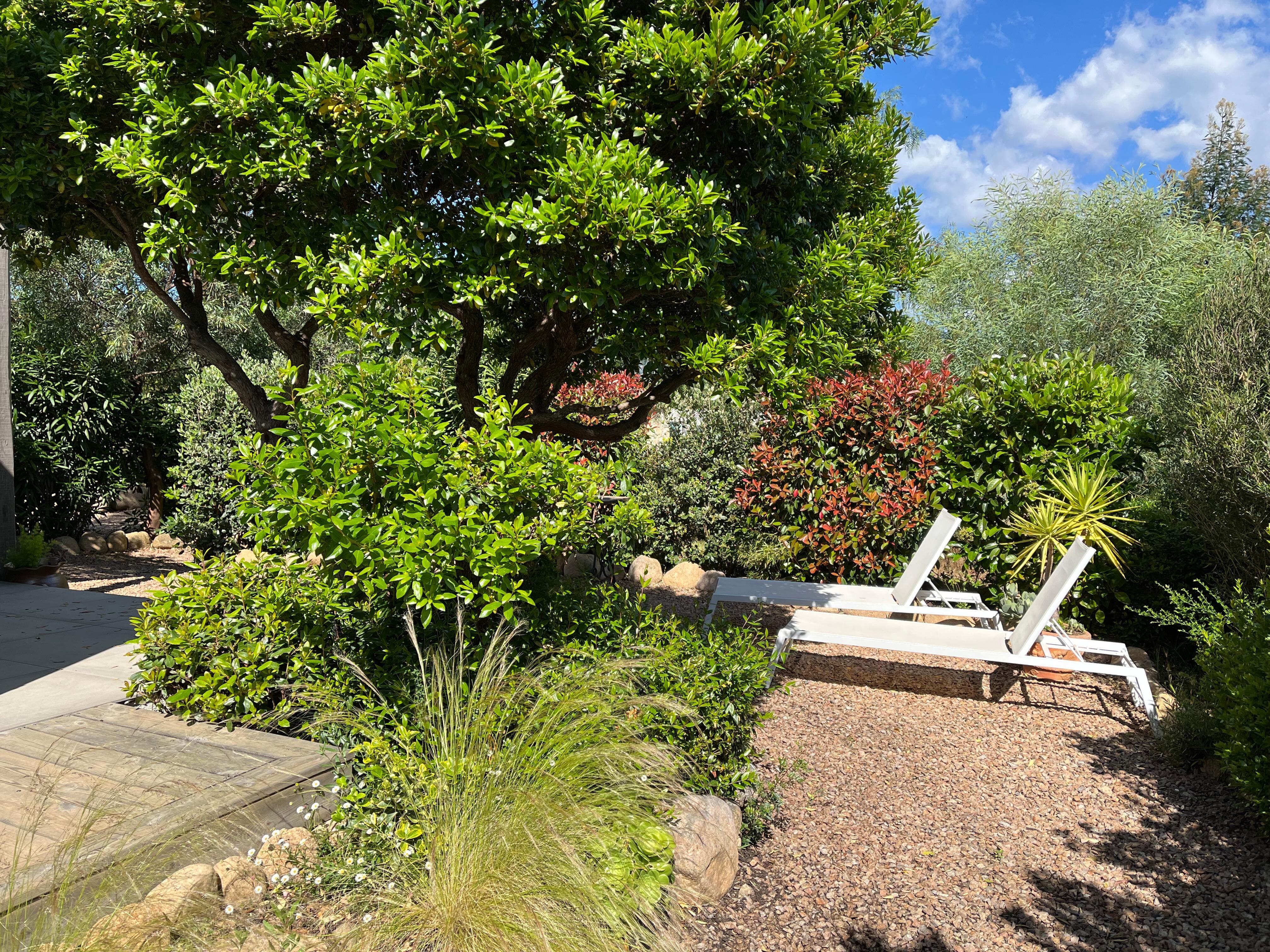 Photo de notre terrasse