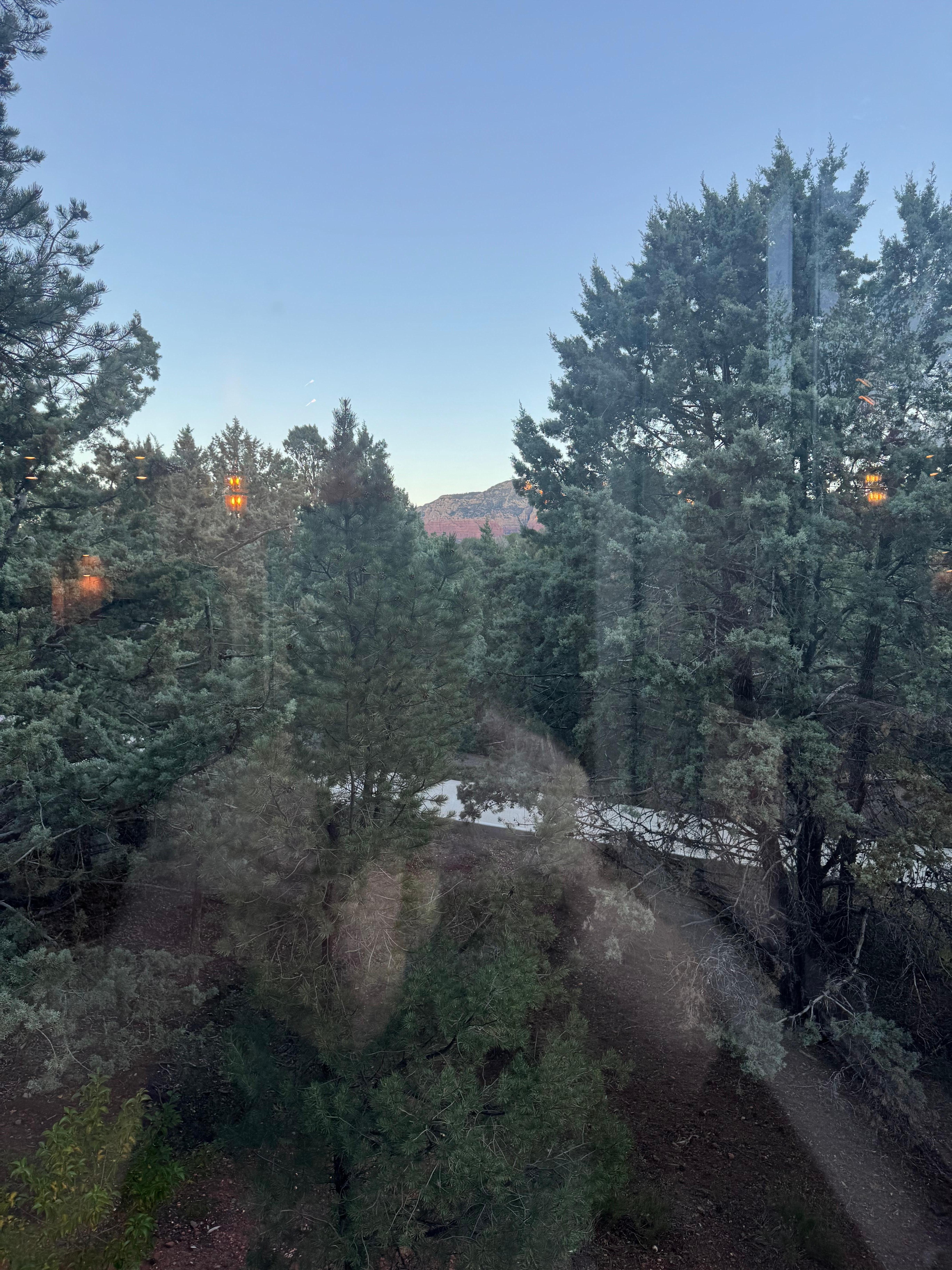 Views from the front windows