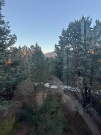 Views from the front windows