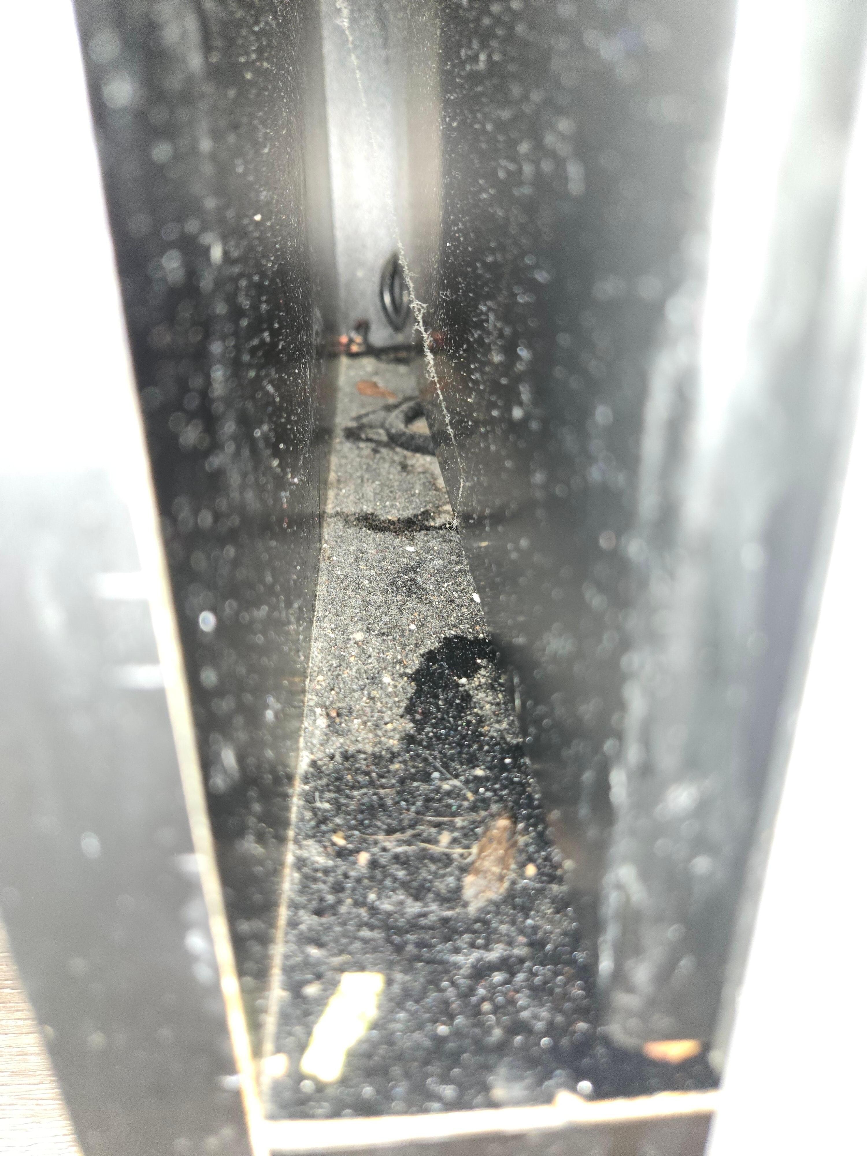 This is beside the mini fridge. Looks like it has never been cleaned.