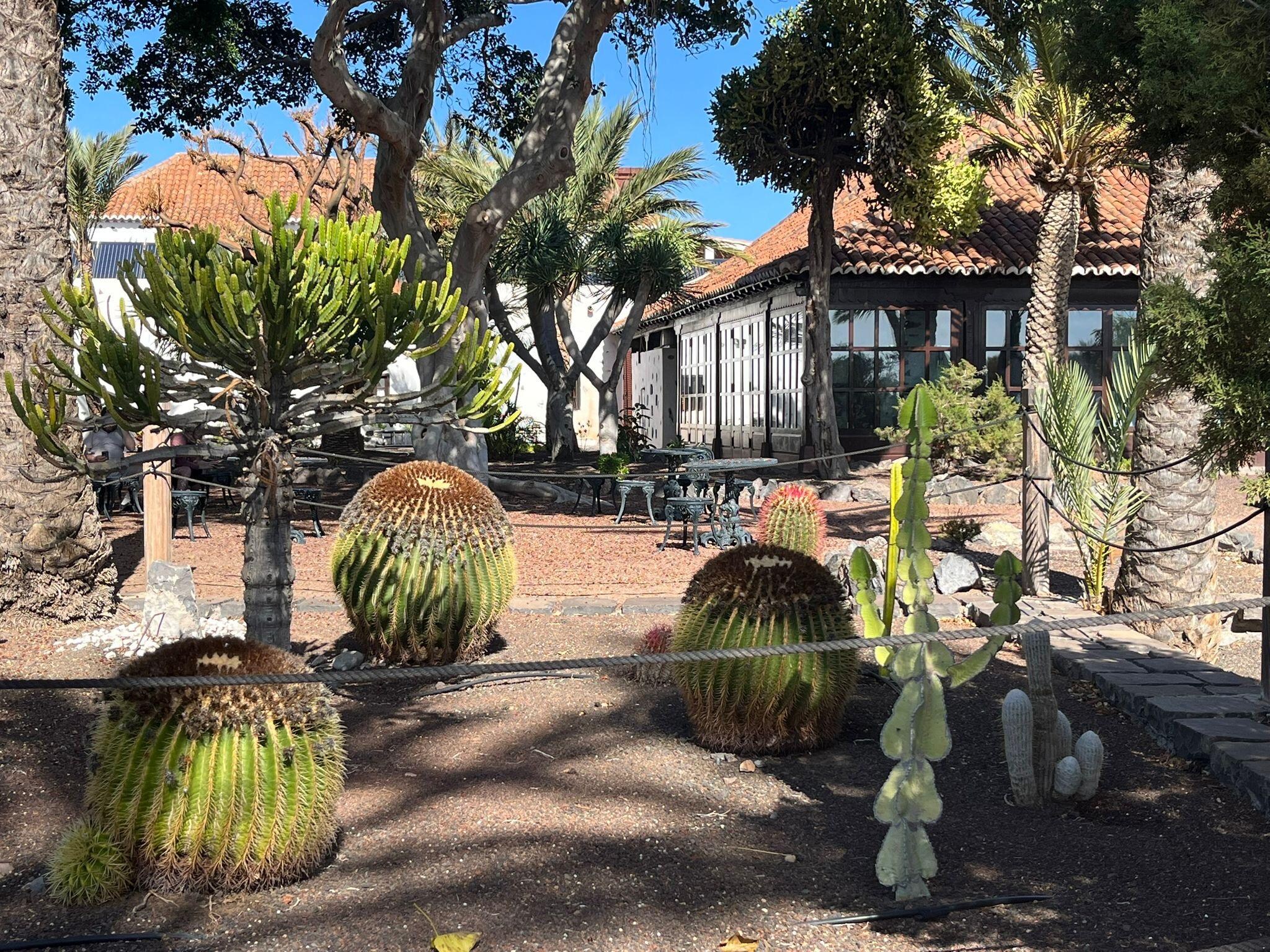 Gardens in the parador 