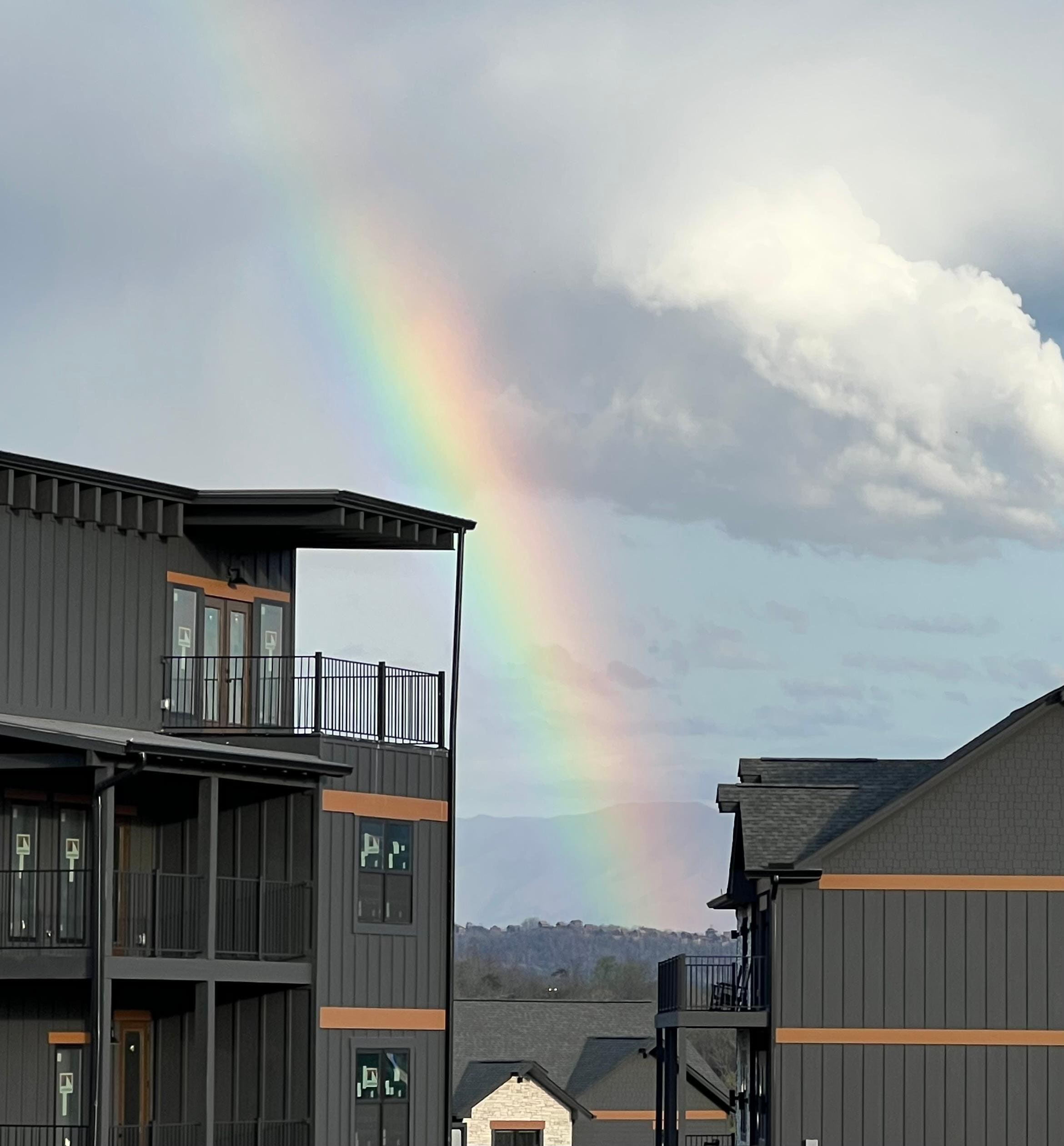 Rainbow after a short afternoon shower.