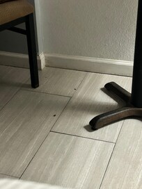 More dead roaches