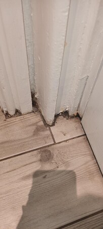 Mould everywhere