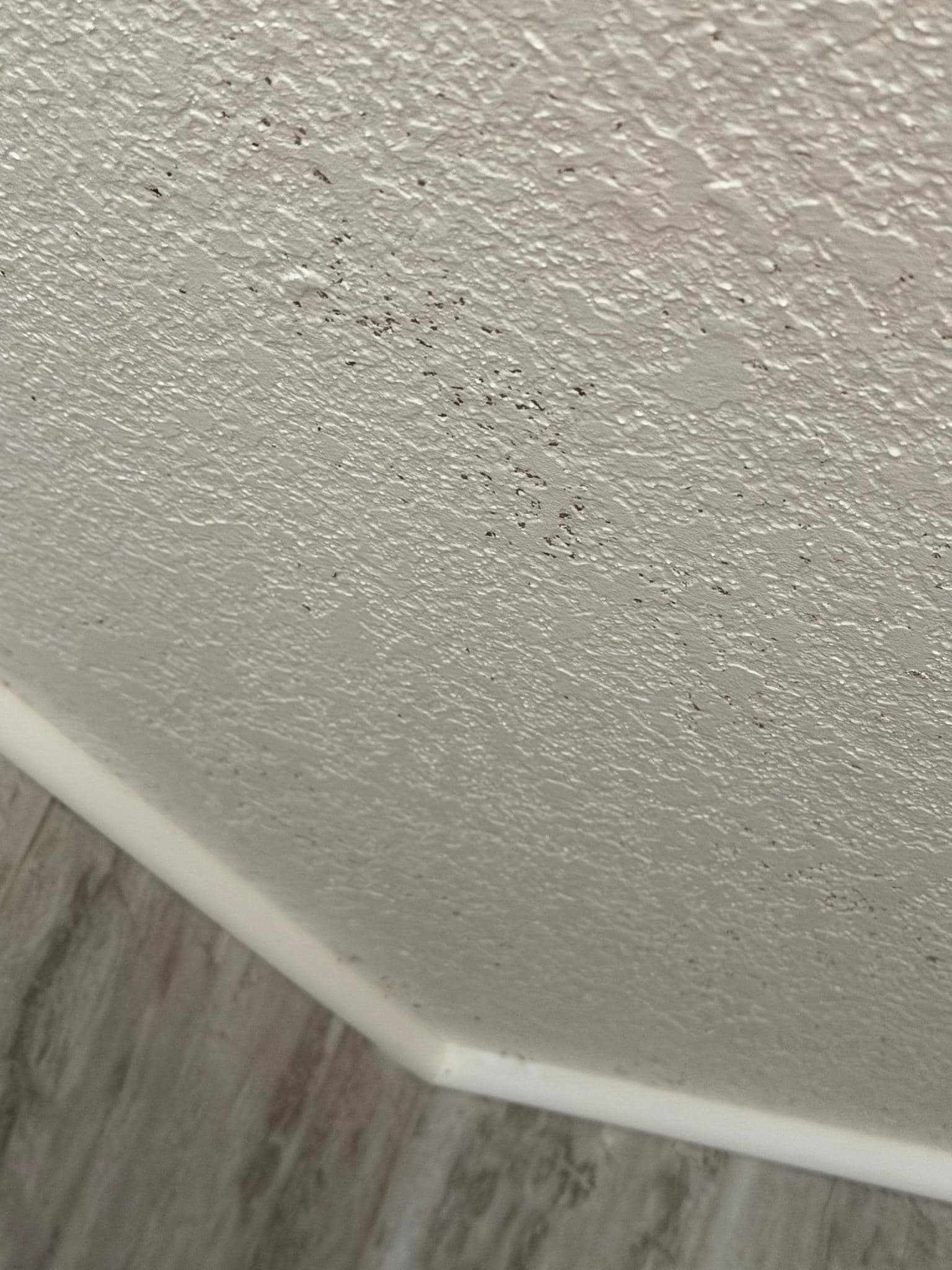 Mold on the ceiling in the bathroom