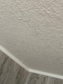 Mold on the ceiling in the bathroom