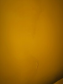 Feuchte Wand