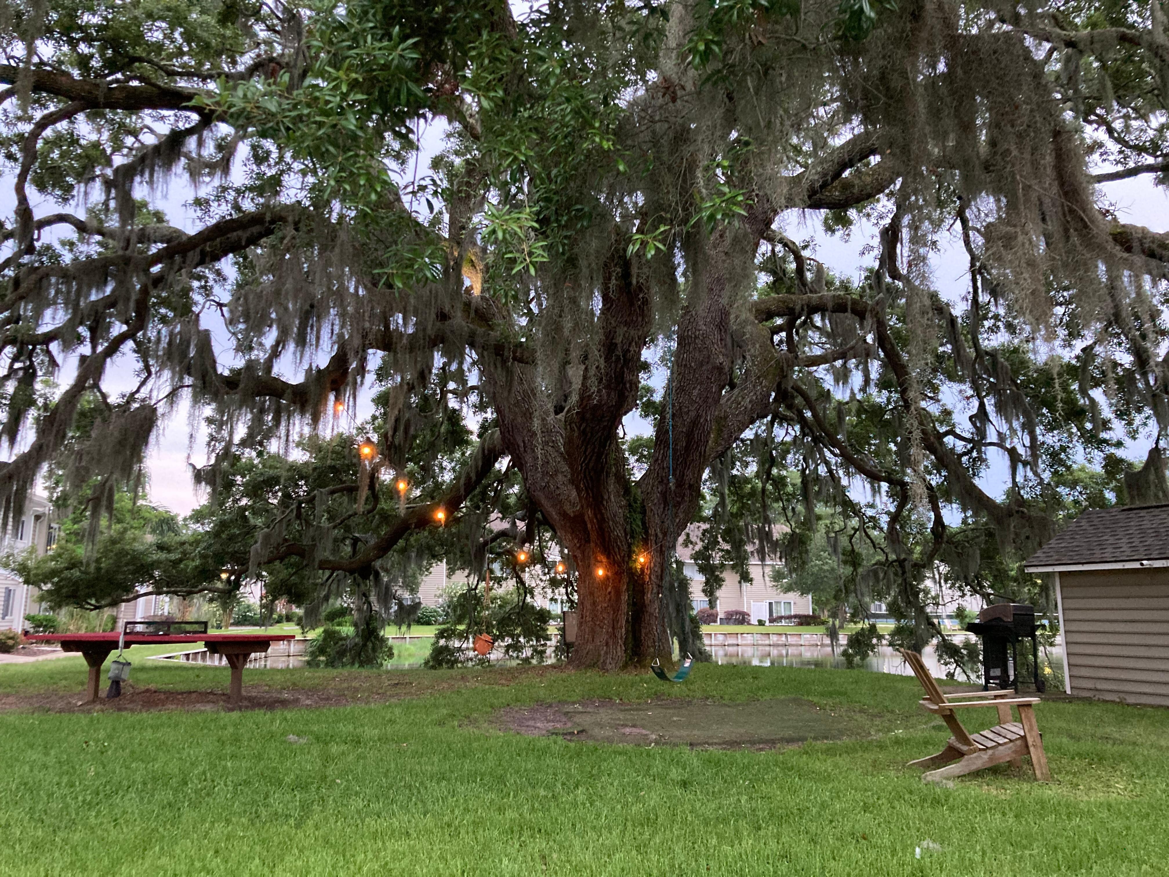 Across from the townhouse 