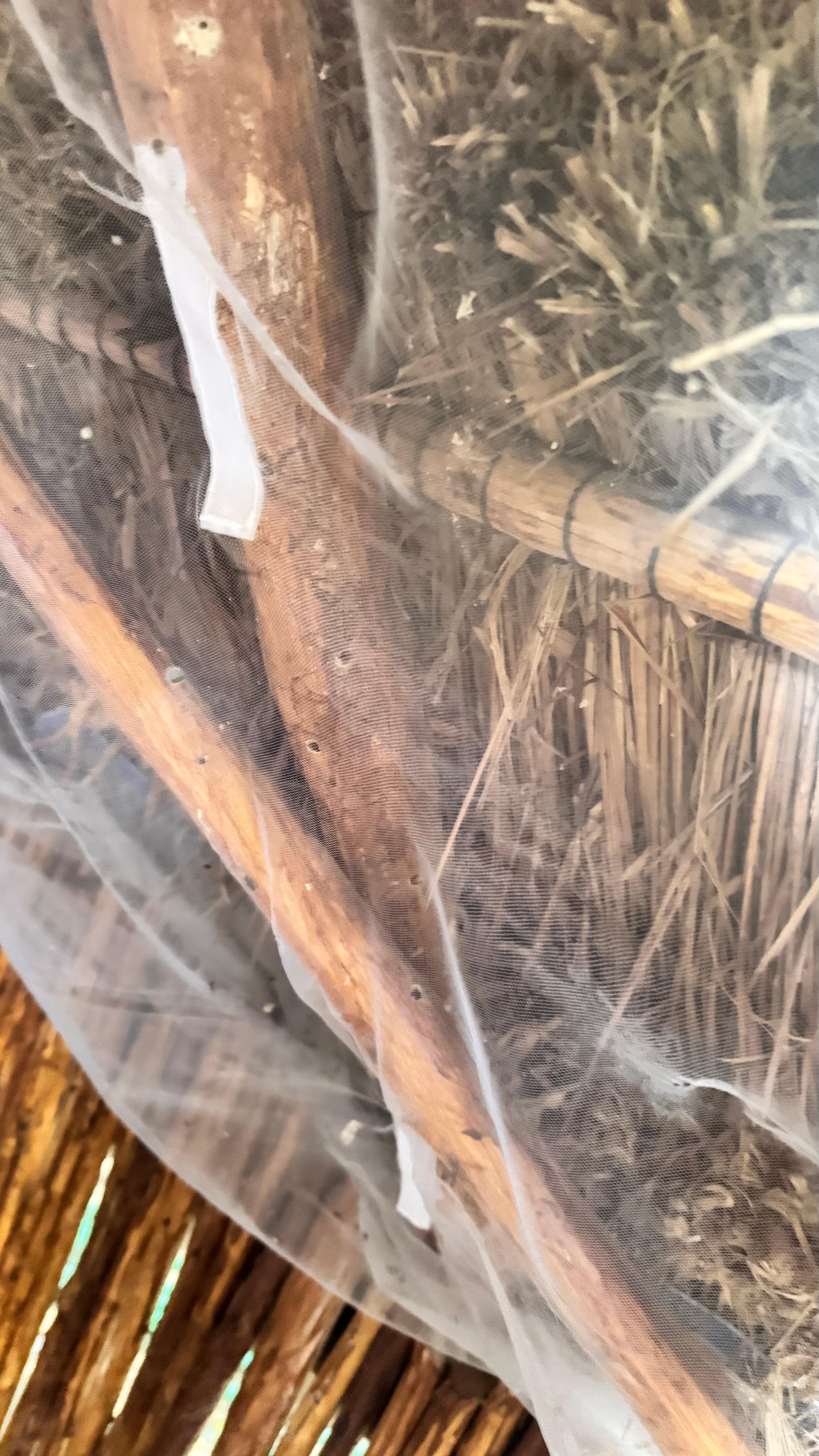 The mosquito netting inside the cabana