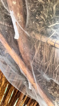 The mosquito netting inside the cabana