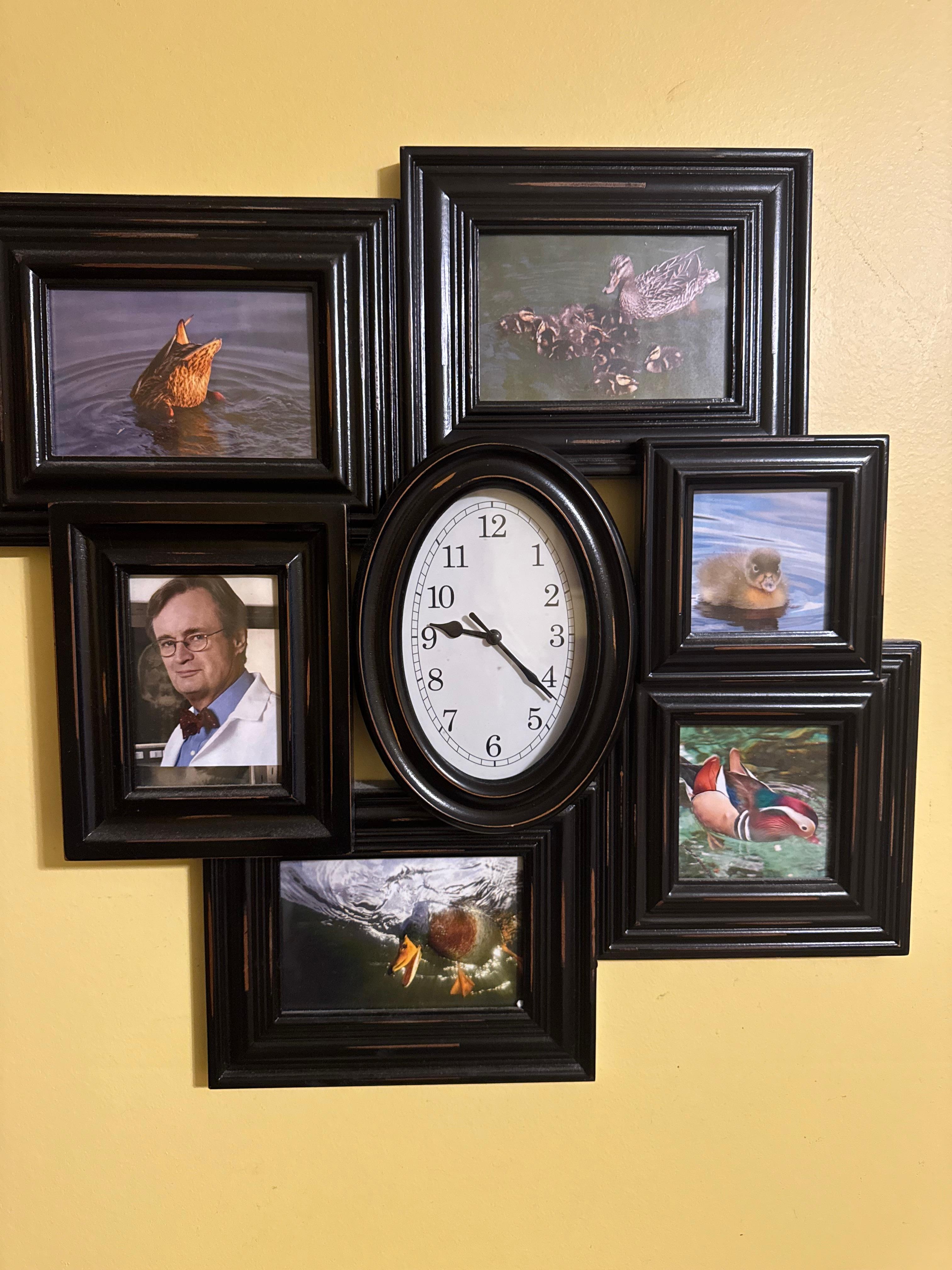 The room was “Mallard” themed….iykyk 😜