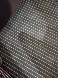 Pigeon poo on floor that had blown in from open window. This was all round the bed.