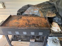 Unusable Blackstone grill w/ mouse droppings & rust.