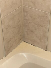 Mold/ dirty shower