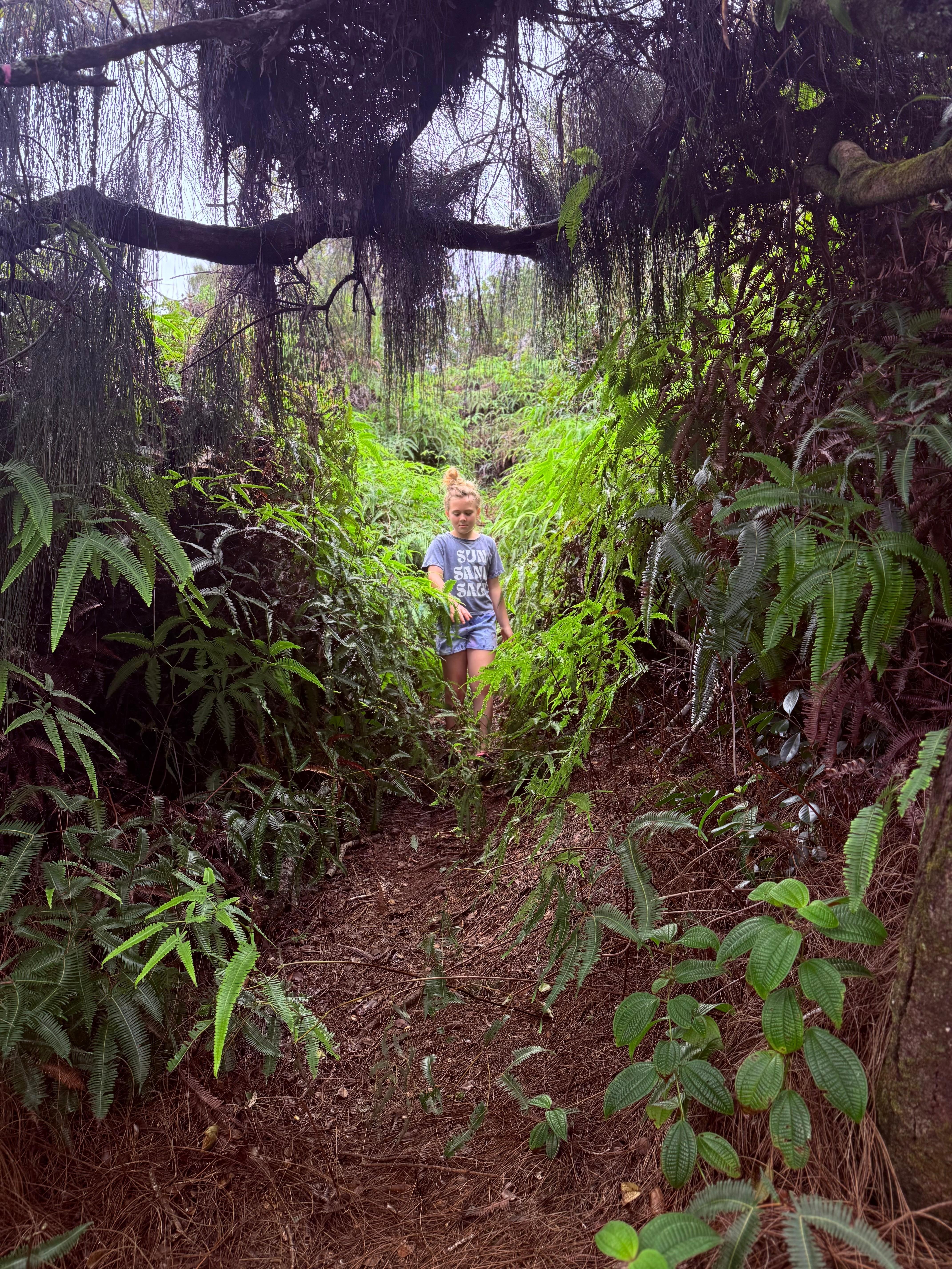 Excellent hiking nearby