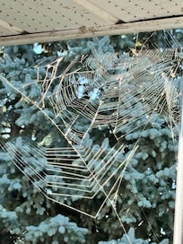 Spider webs on front porch