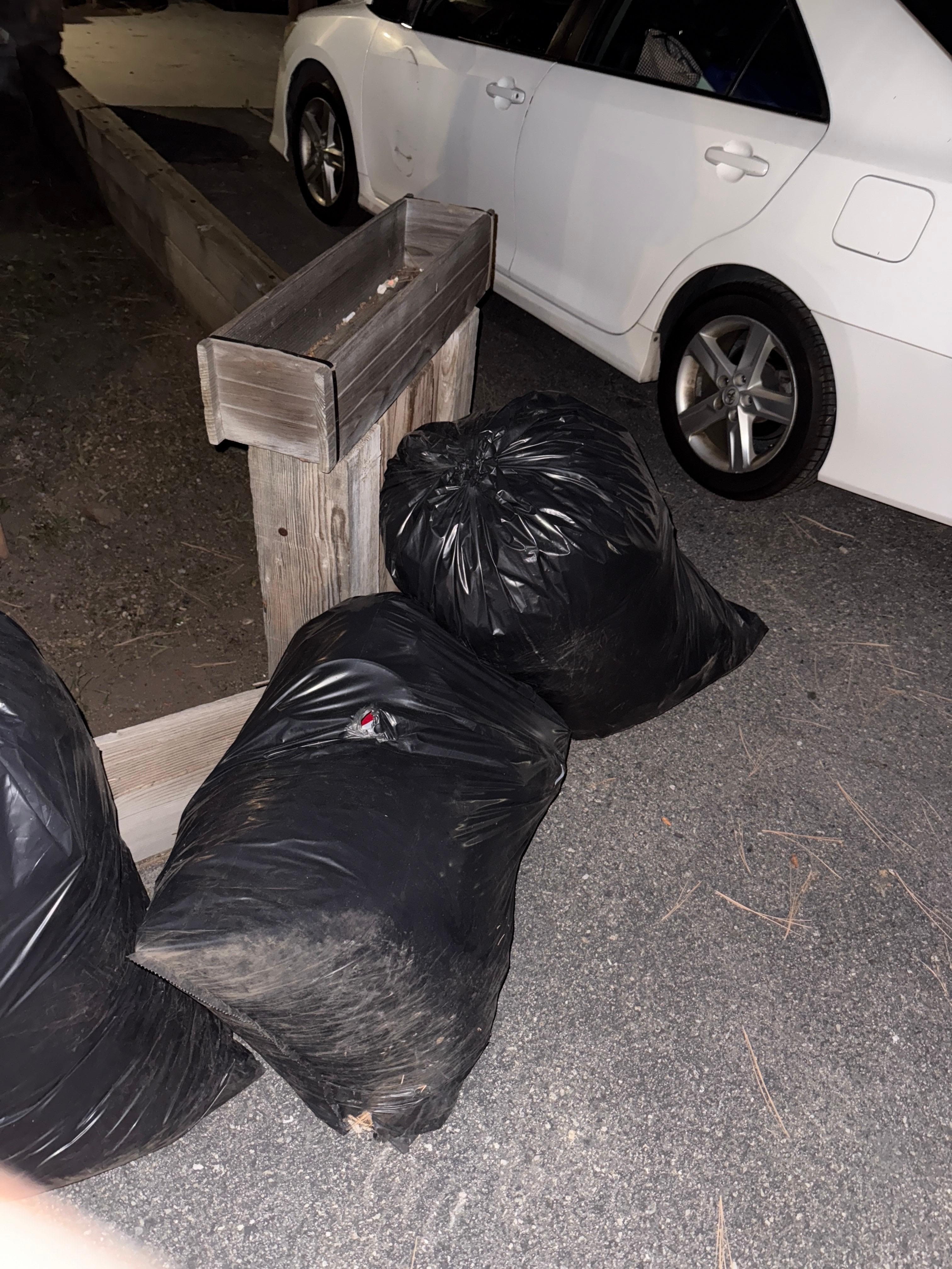 Trash bags outside the property and into the designated parking spot