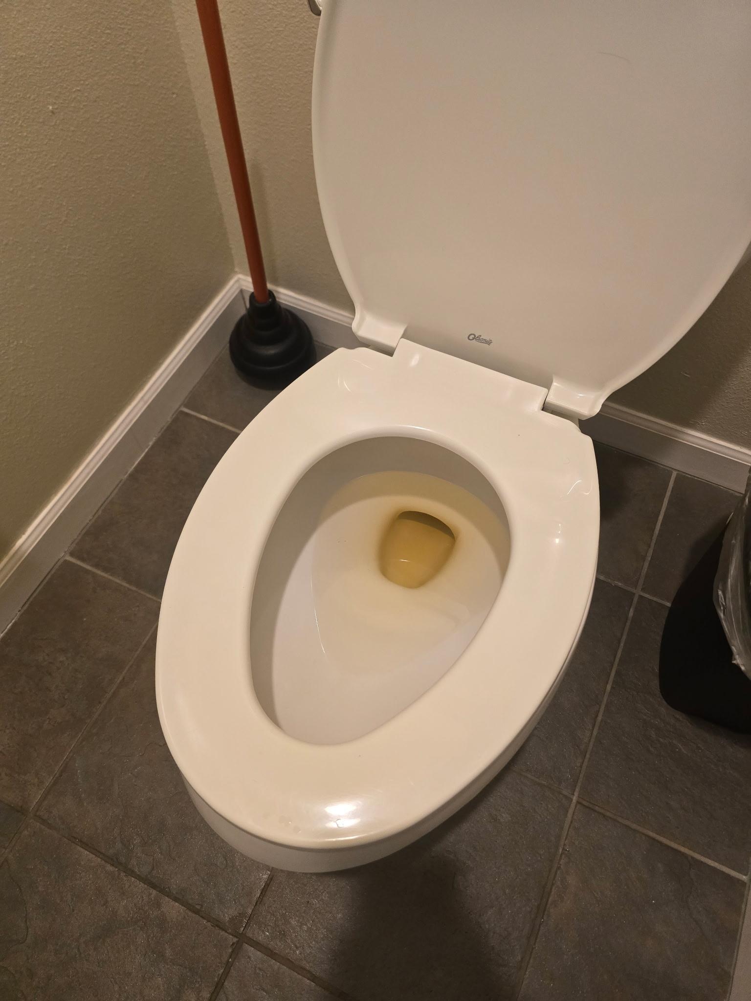 Unflushed toilet