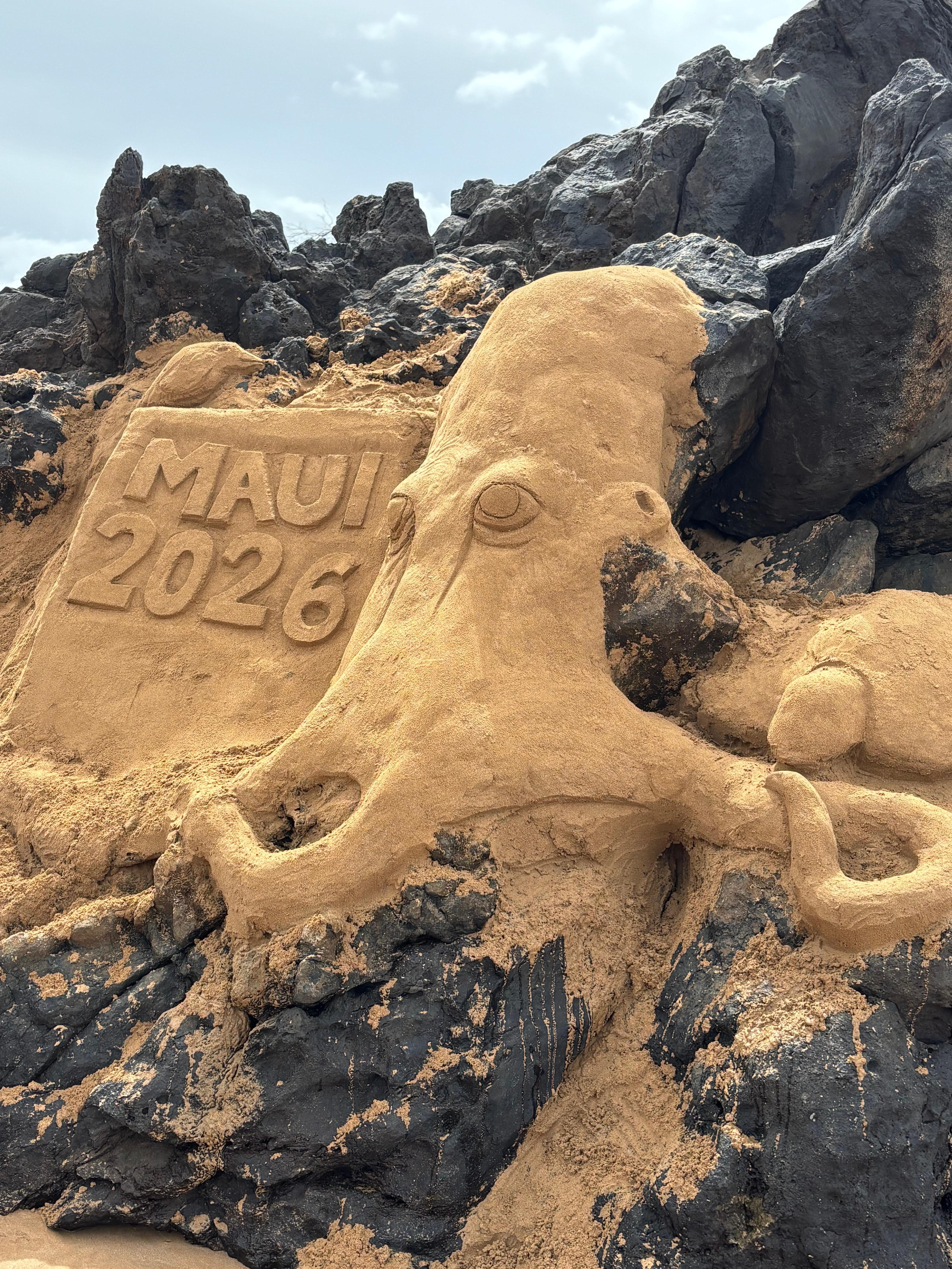 This was made one day by a sand artist at the beach across the street. 